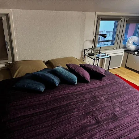 Finkwiller F3 3 Etoiles Petite France * Strasburgo
